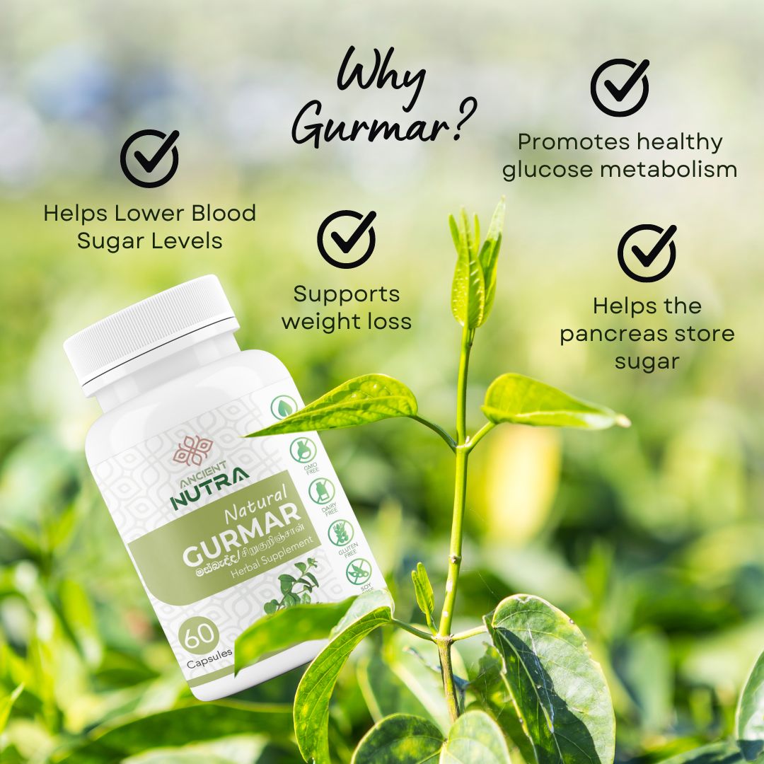Gurmar: Sri Lanka's Natural Approach to Blood Sugar Management