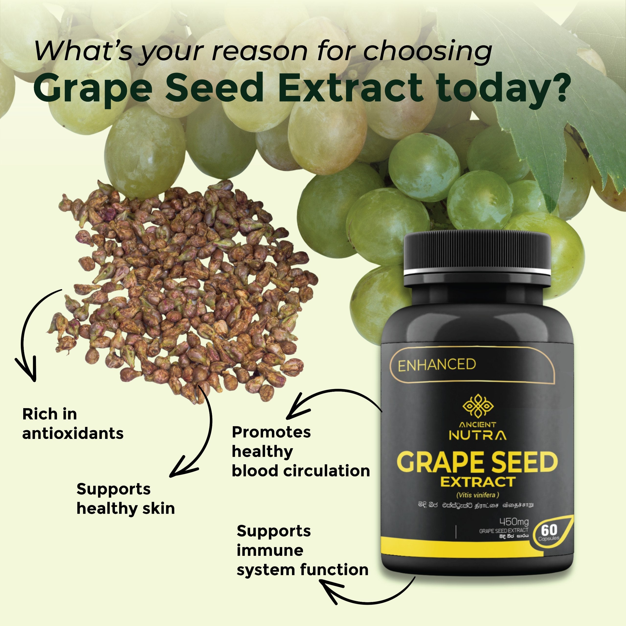 🍇 Transform Your Day with Ancient Nutra Grape Seed Extract Capsules