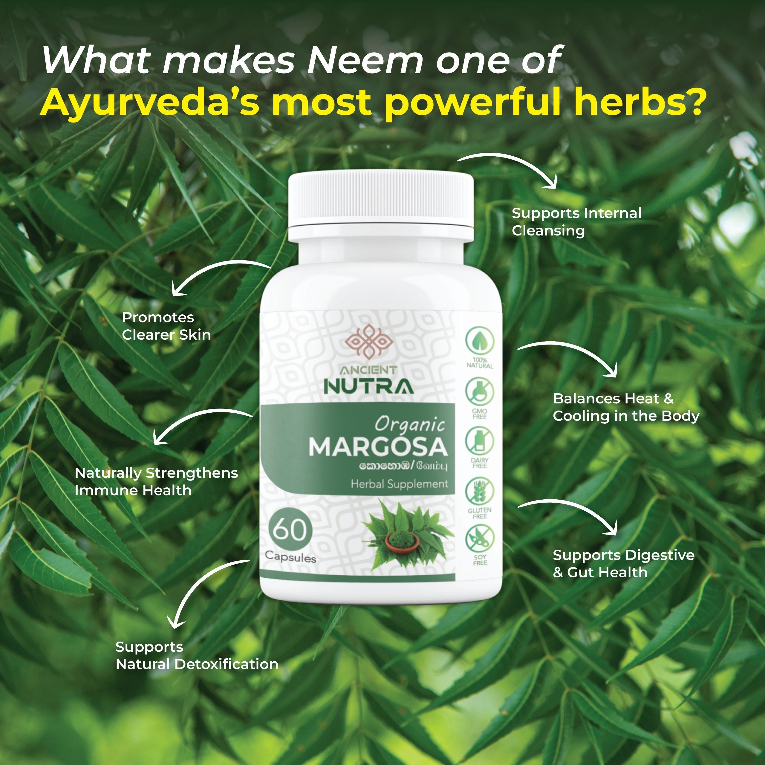 Transform Your Daily Wellness Routine with Ancient Nutra Margosa (Neem)