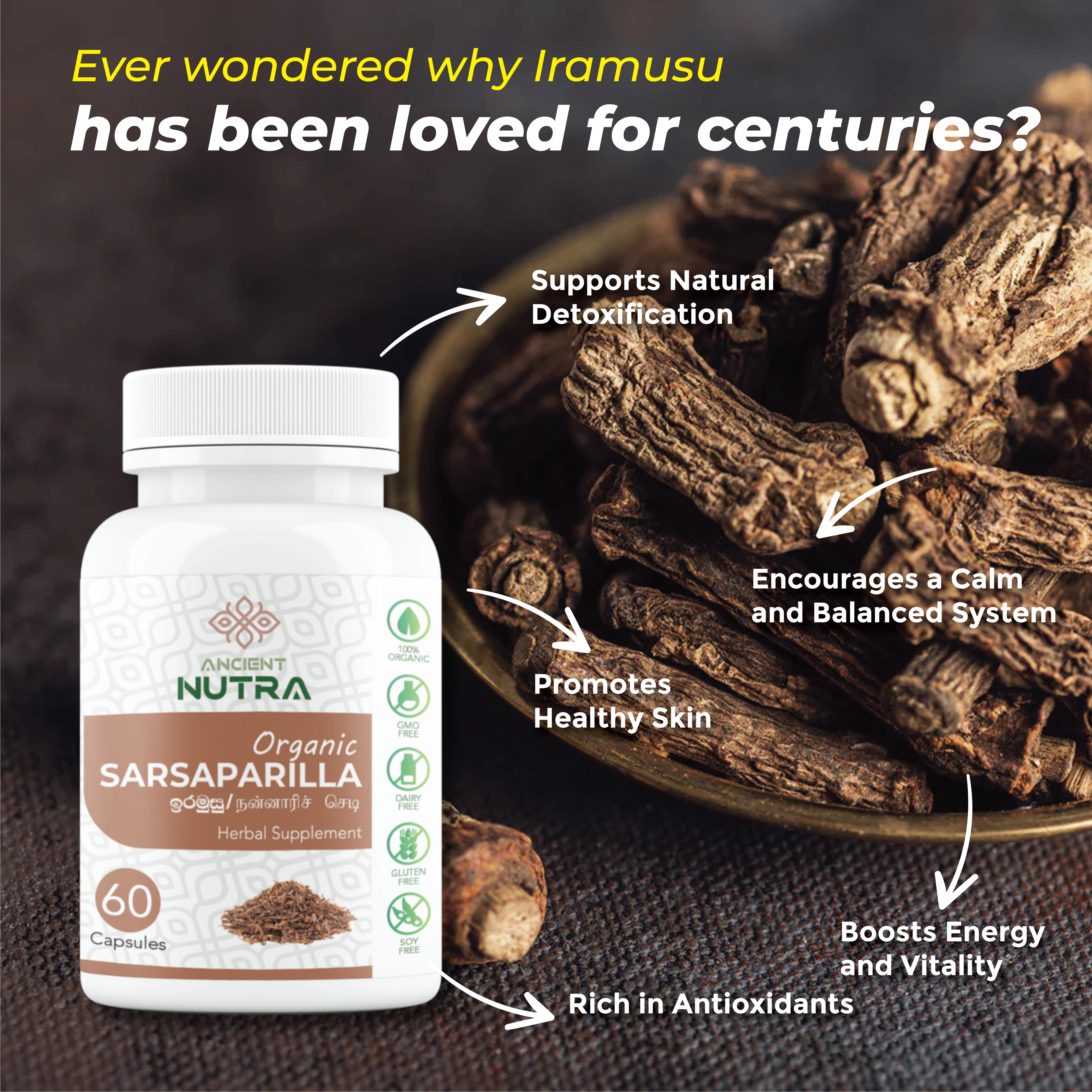 Sarsaparilla (Iramusu): The Ancient Sri Lankan Secret to Daily Wellness & Natural Detox