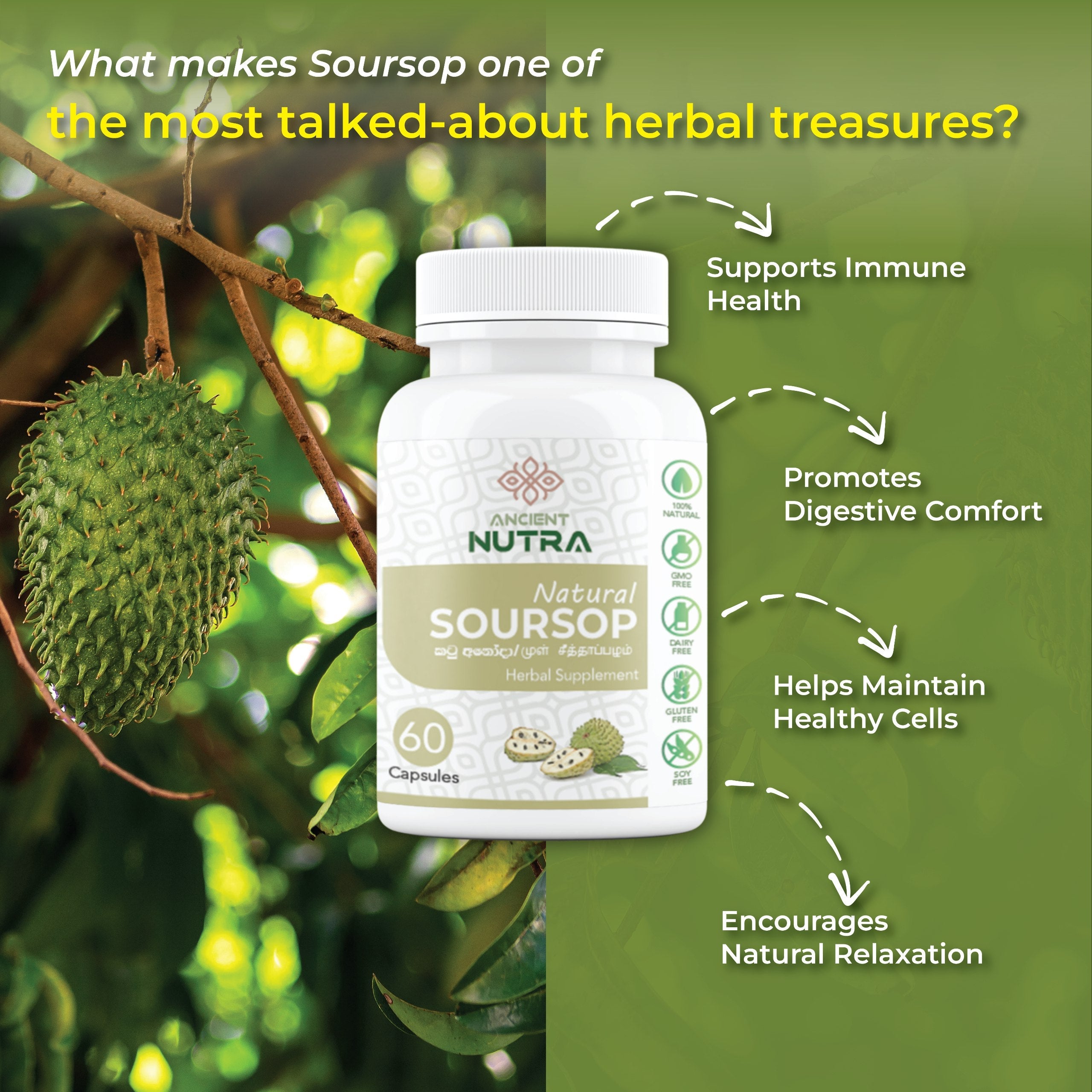 Transform Your Daily Wellness with Ancient Nutra Soursop Capsules