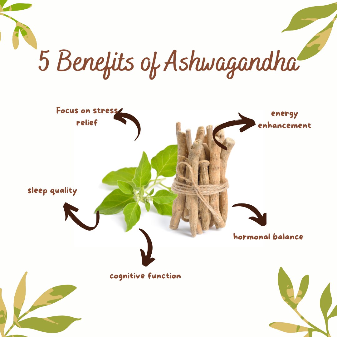 Transform Stress Into Strength with Ancient Nutra Ashwagandha