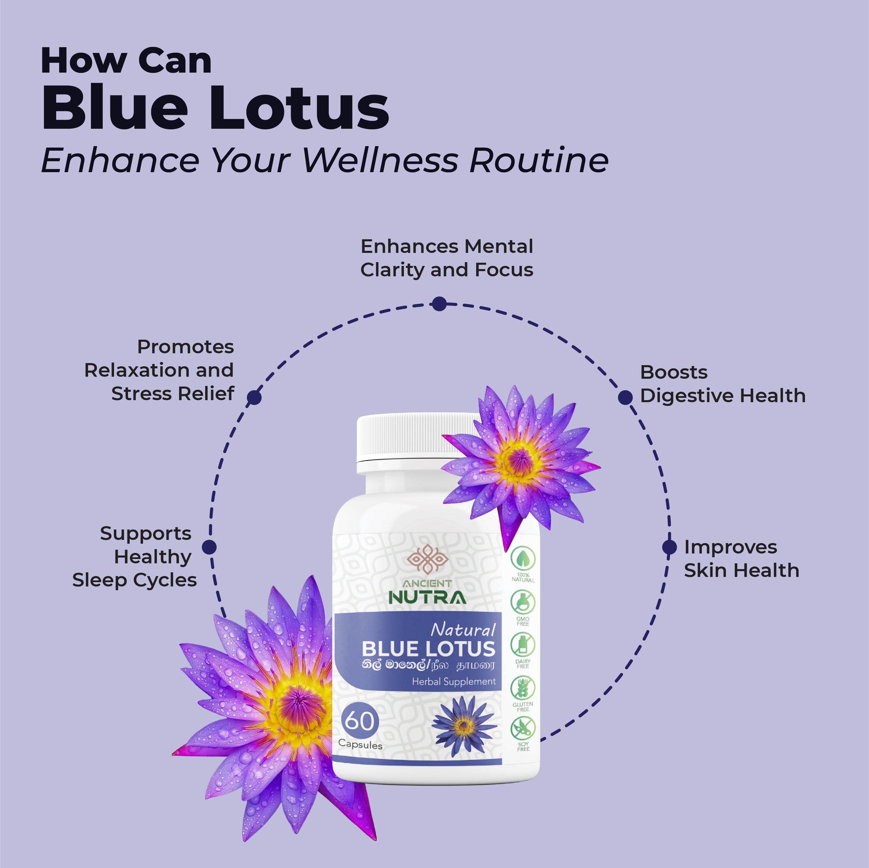 Curious how blue lotus can transform your day?
