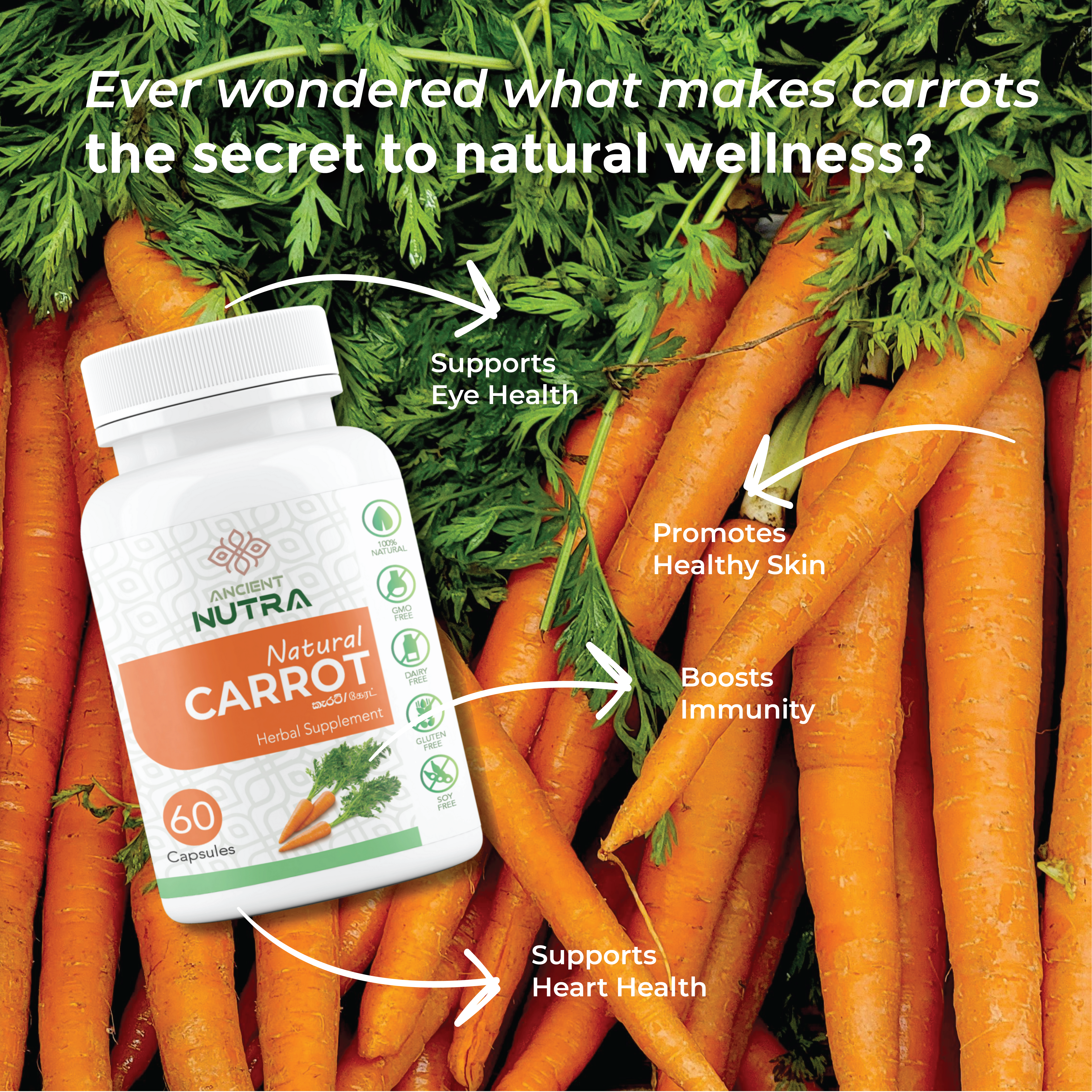 Carrot Capsules: Eye Health & Immune Support | Ancient Nutra