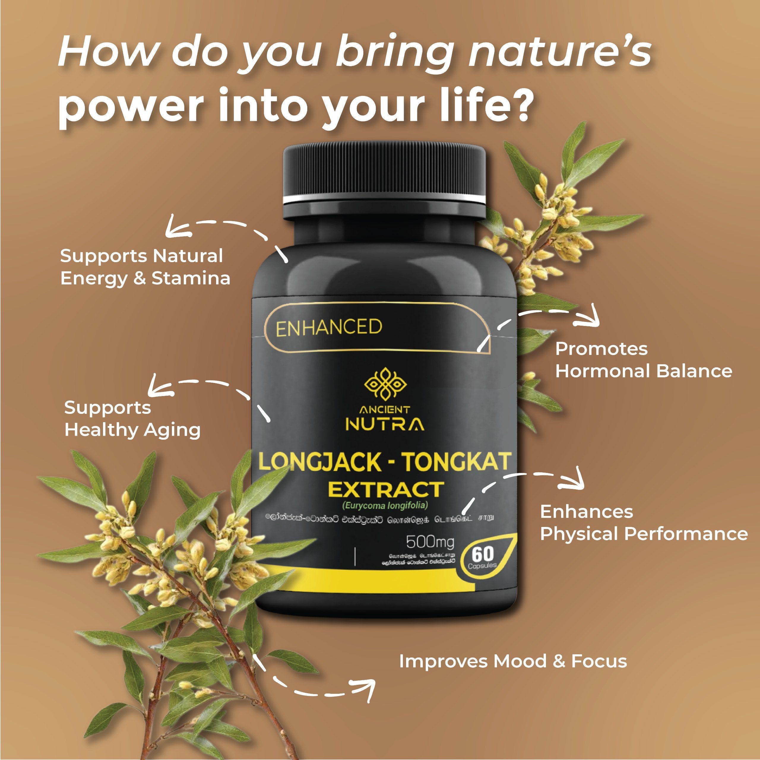 Boost Your Daily Energy and Vitality with Ancient Nutra Longjack-Tongkat Extract Capsules