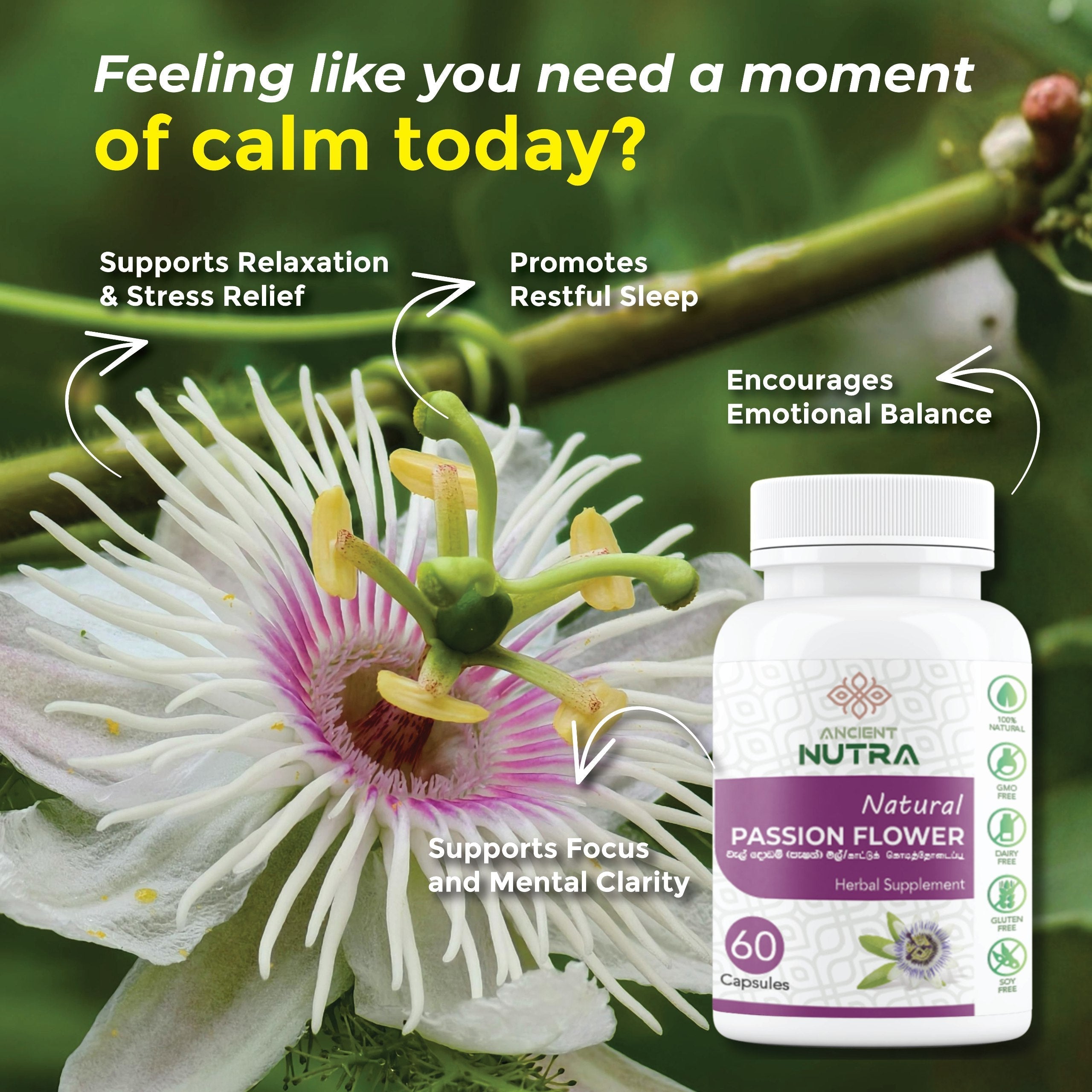 Transform Your Daily Calm with Ancient Nutra Passion Fruit Flowers Capsules