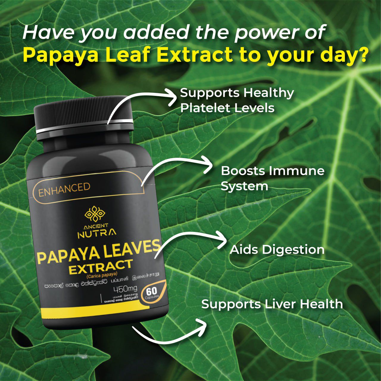 Boost Your Daily Wellness with Ancient Nutra Papaya Leaf Extract