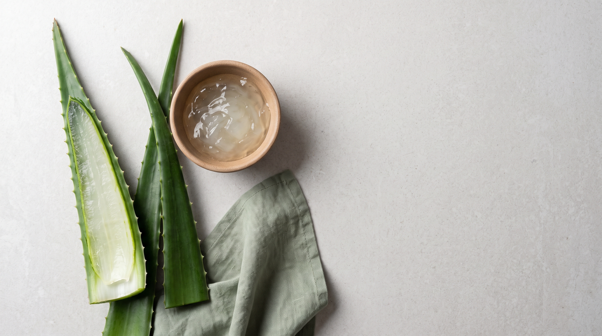 A fresh aloe vera leaf sliced open beside whole leaves and a plain bowl of clear gel, showing the pale inner fillet against the darker outer rind