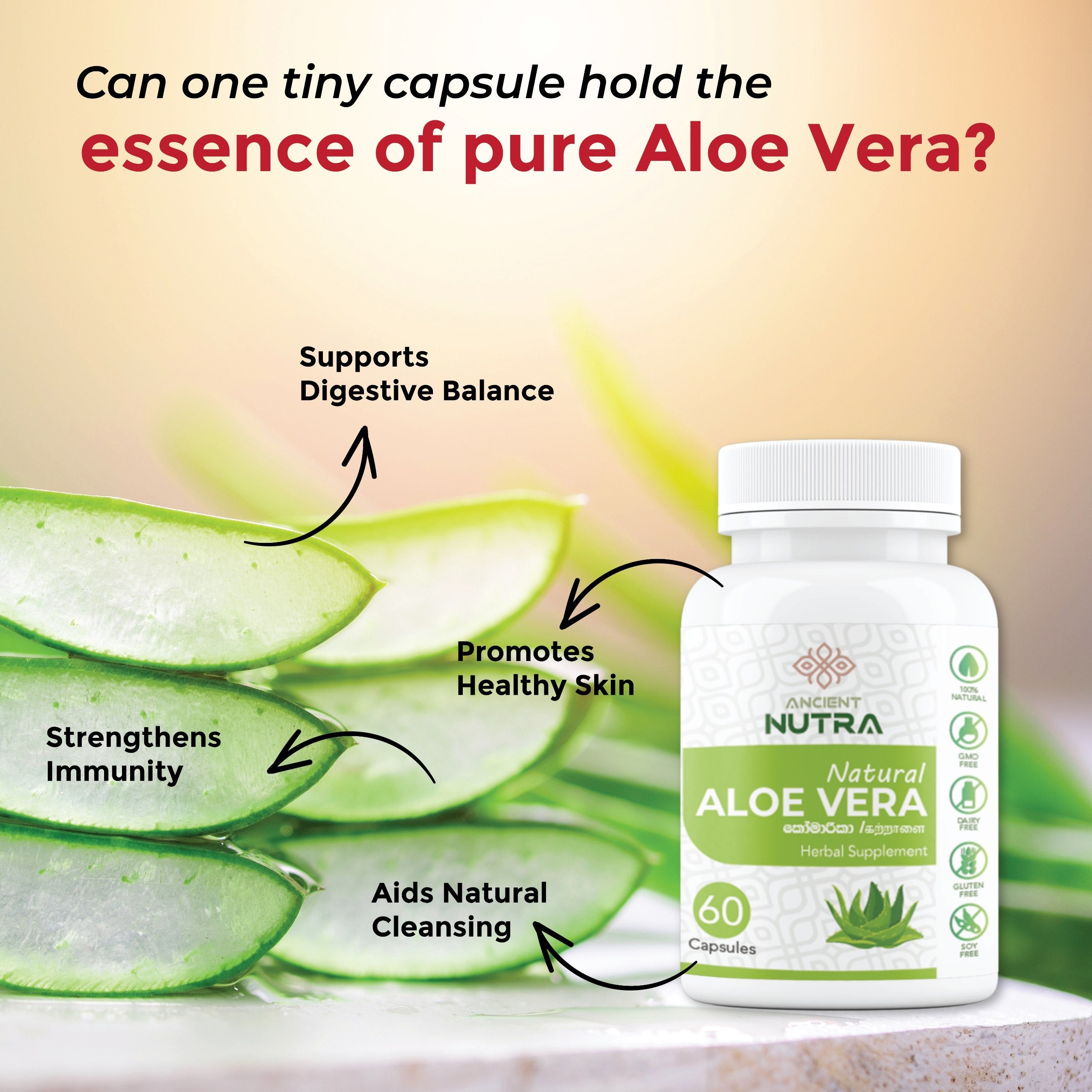 Transform Your Daily Wellness with Ancient Nutra Aloe Vera Extract Capsules