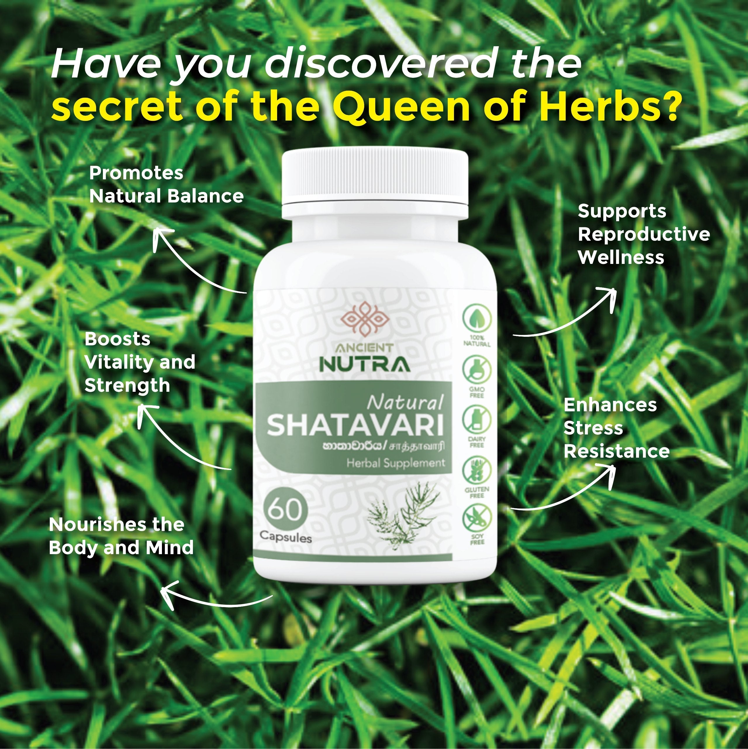 Hathawariya Benefits: Daily Wellness for Modern Women