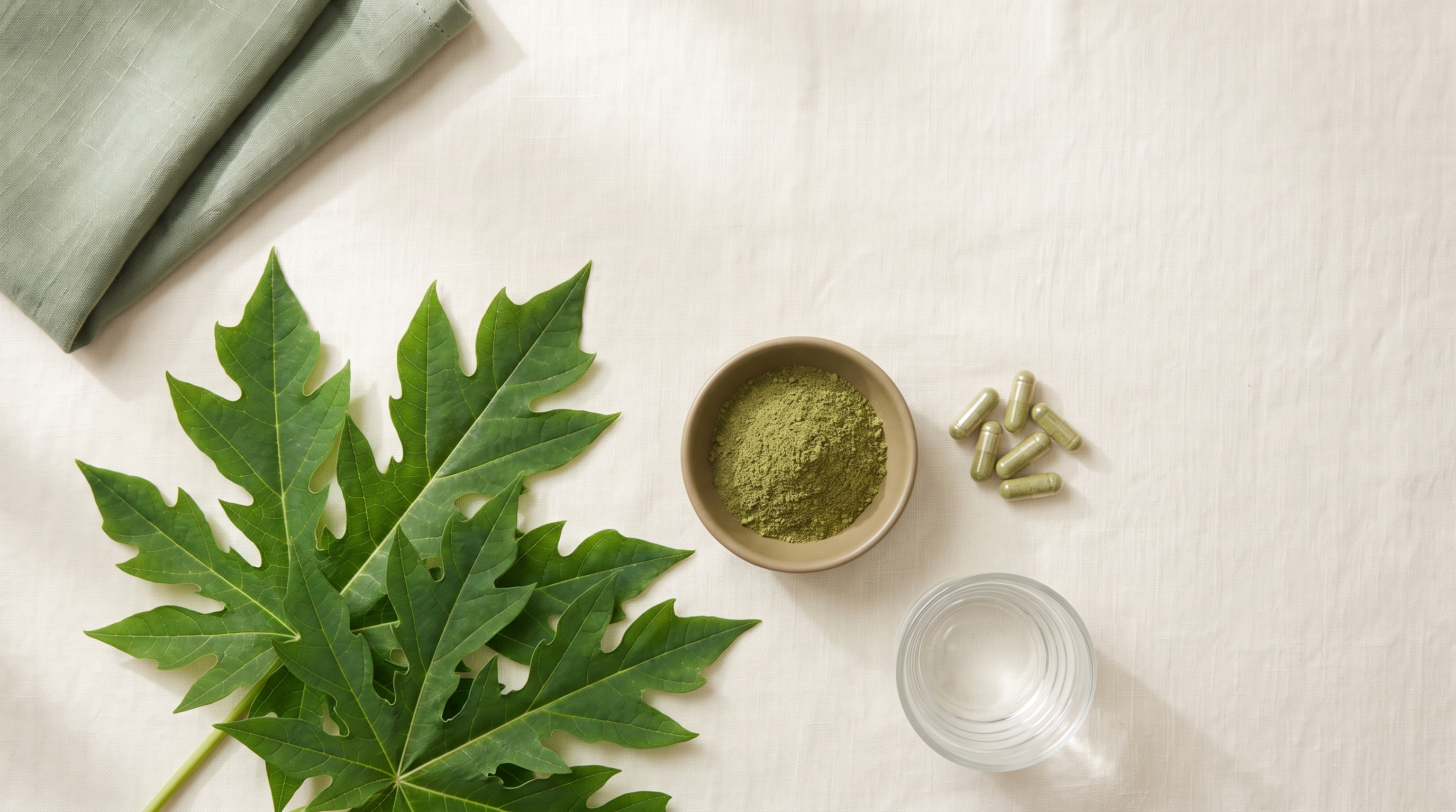 Fresh green papaya leaf beside a dish of green papaya-leaf powder, herbal capsules and a glass of water on cream linen