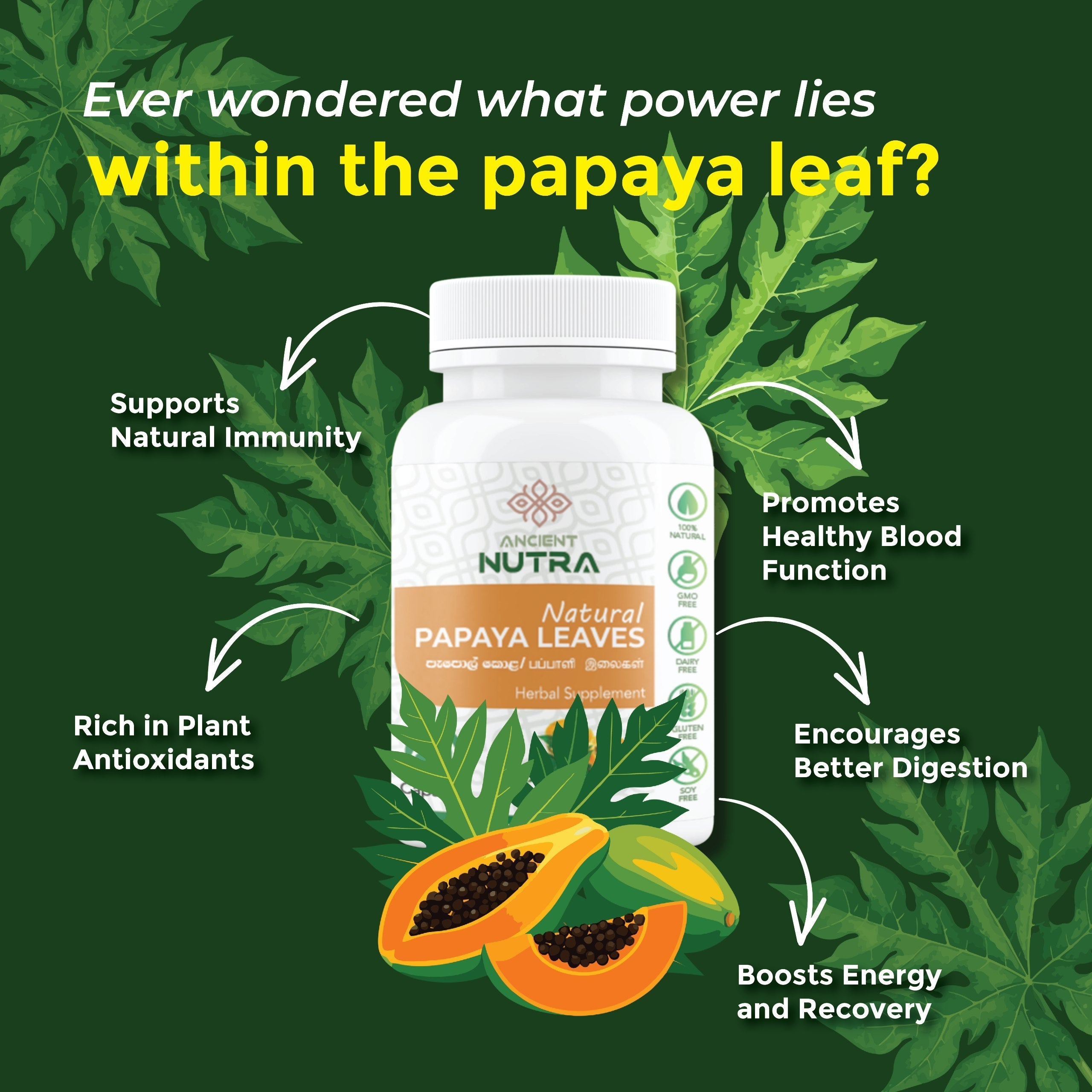 Transform Your Daily Wellness with Papaya Leaf Capsules