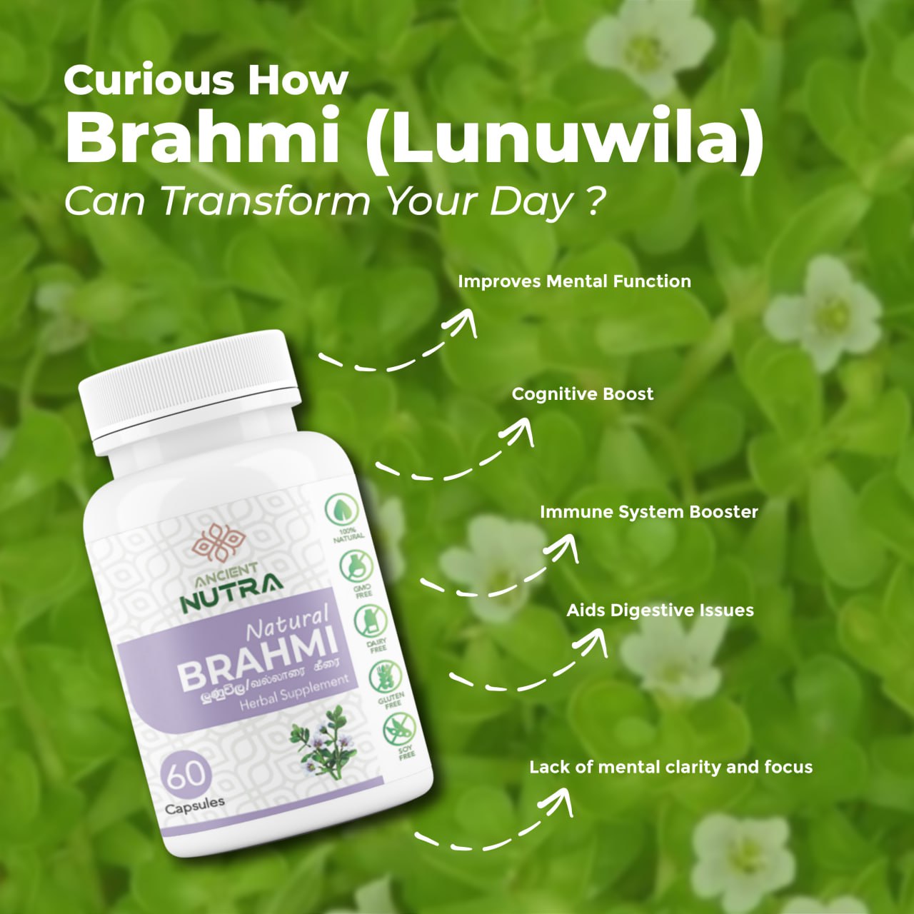 Free Your Brain's Potential with Brahmi (Lunuwila)