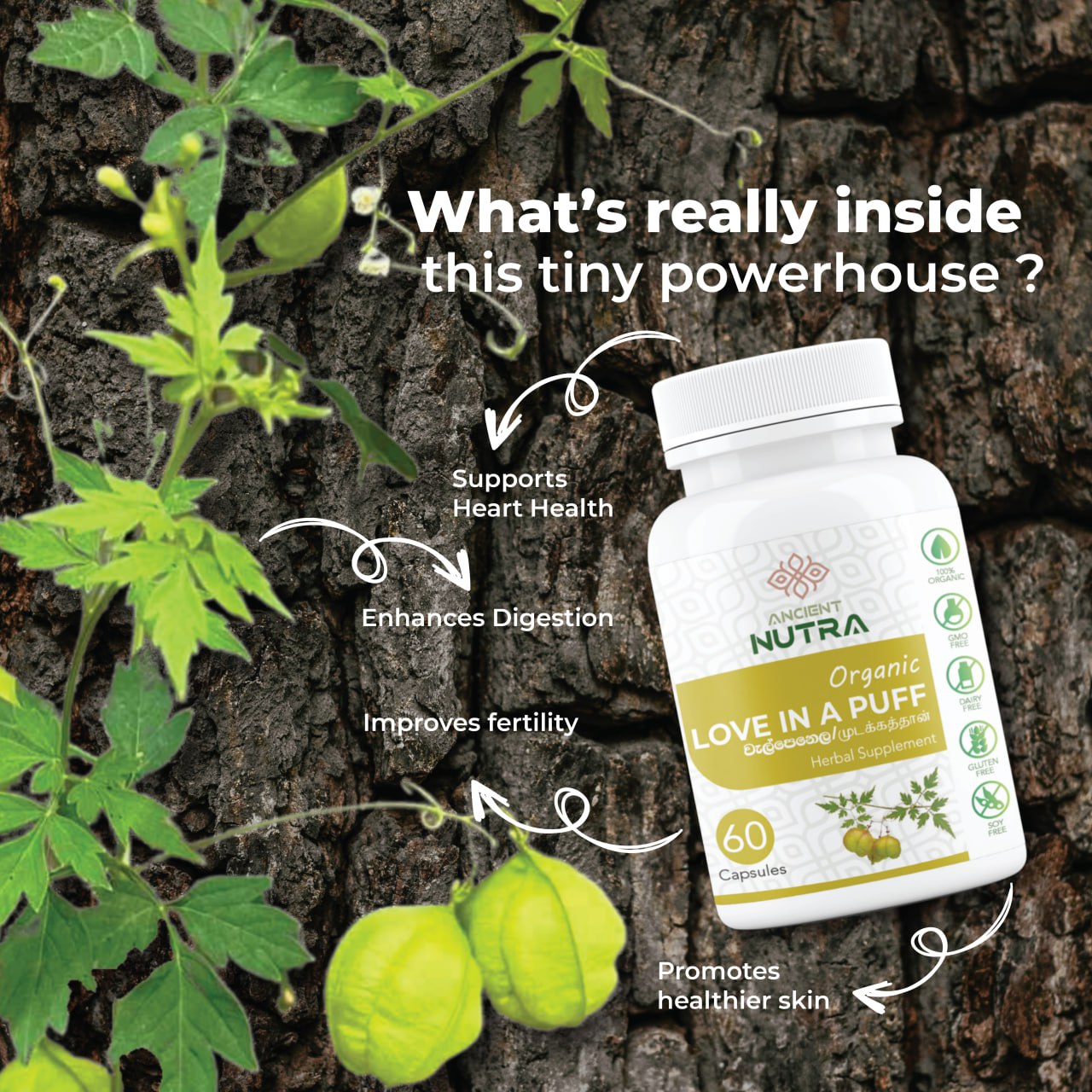 Discover the Power of Love in Puff Capsules for Better Health