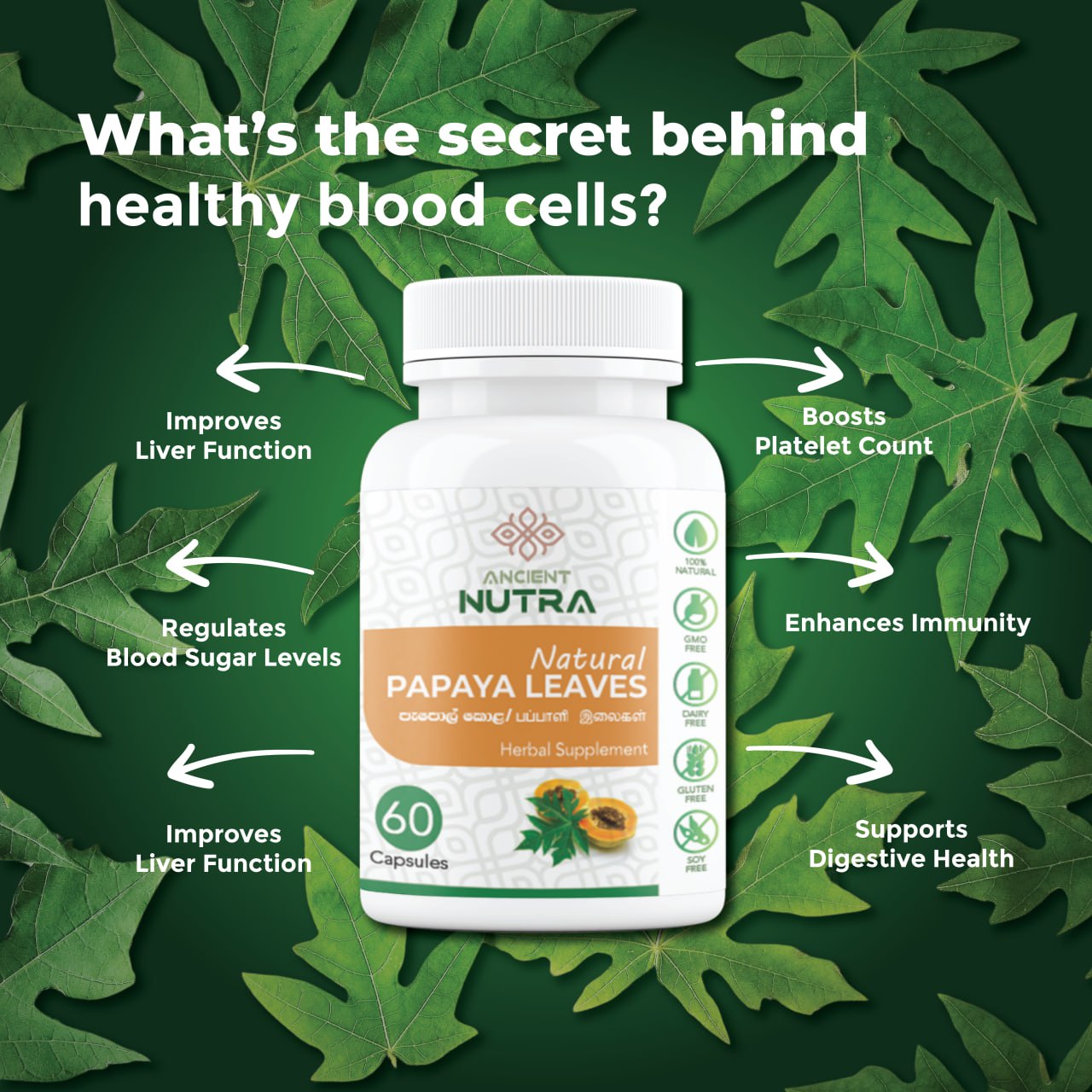 The Power of Papaya Leaves: A Natural Remedy for Immunity and Digestion