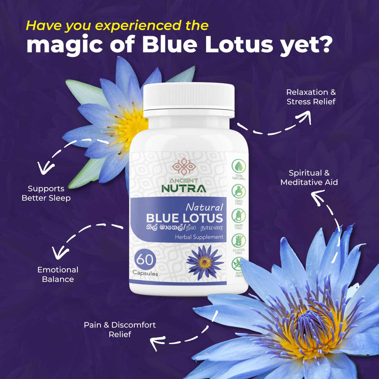 Discover the Calming Power of Ancient Nutra Blue Lotus Capsules