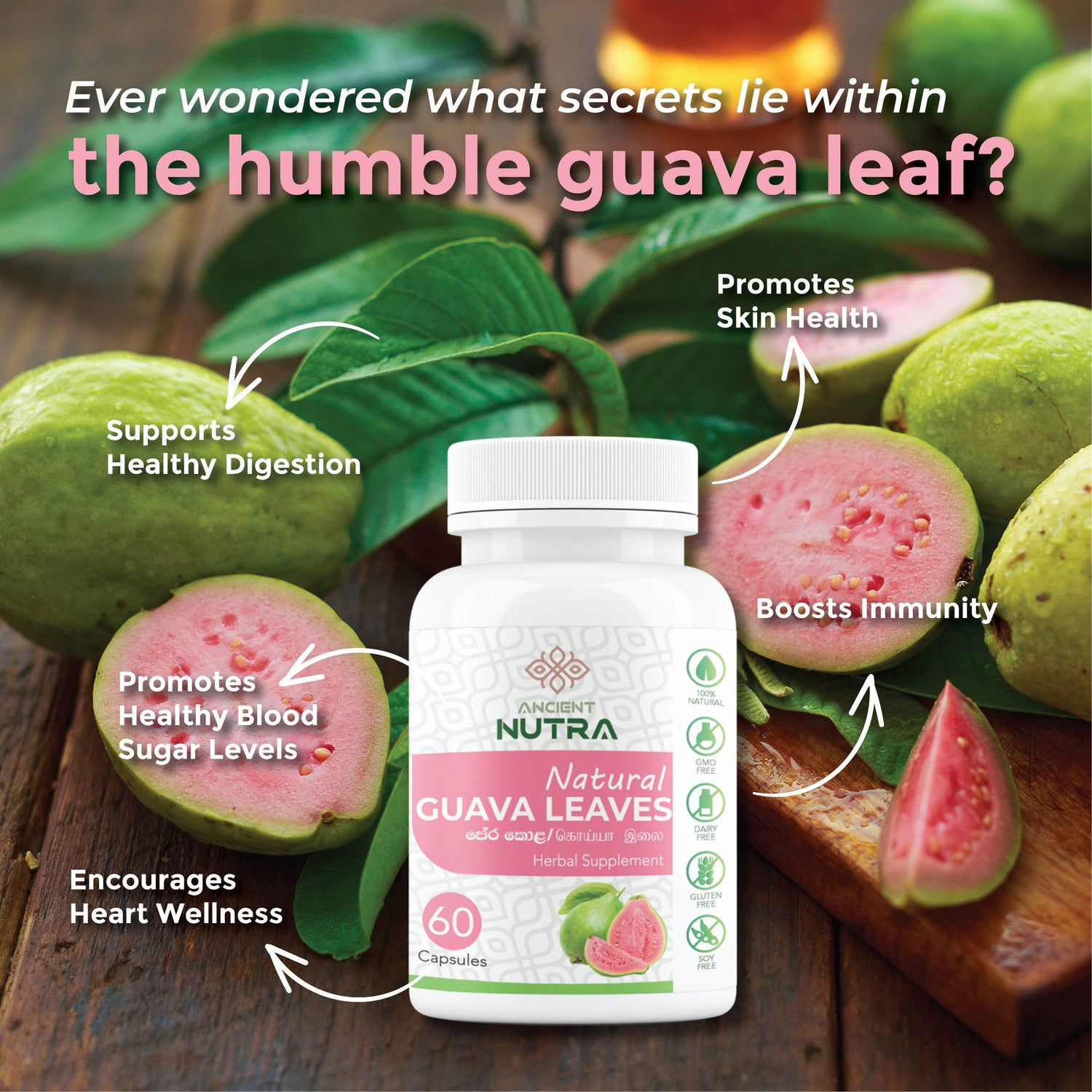Guava Leaves Capsules: Your Daily Natural Solution for Blood Sugar Balance & Wellness