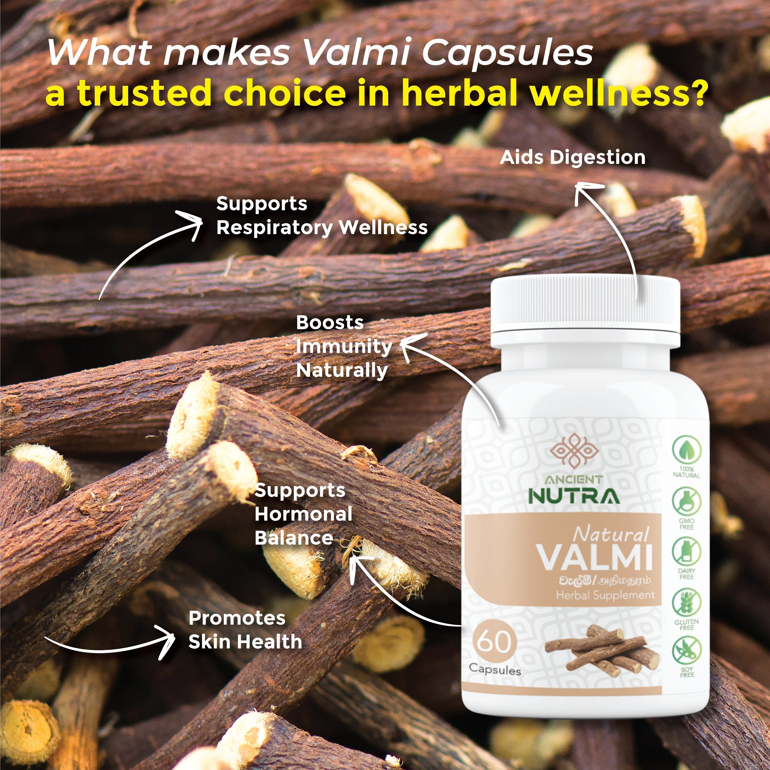 Transform Your Daily Wellness Routine with Licorice Root (Valmi) - Nature's Sweet Medicine