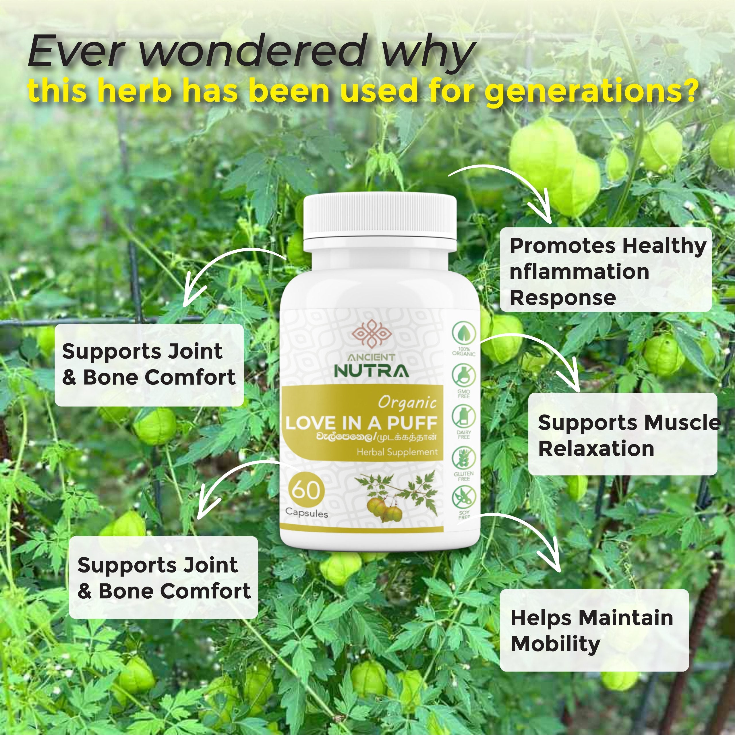 Love in a Puff Capsules: Ancient Healing for Modern Daily Wellnes