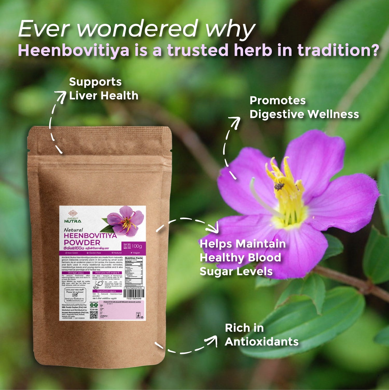 Revitalize Your Liver & Daily Wellness with Ancient Nutra Heenbovitiya Powder