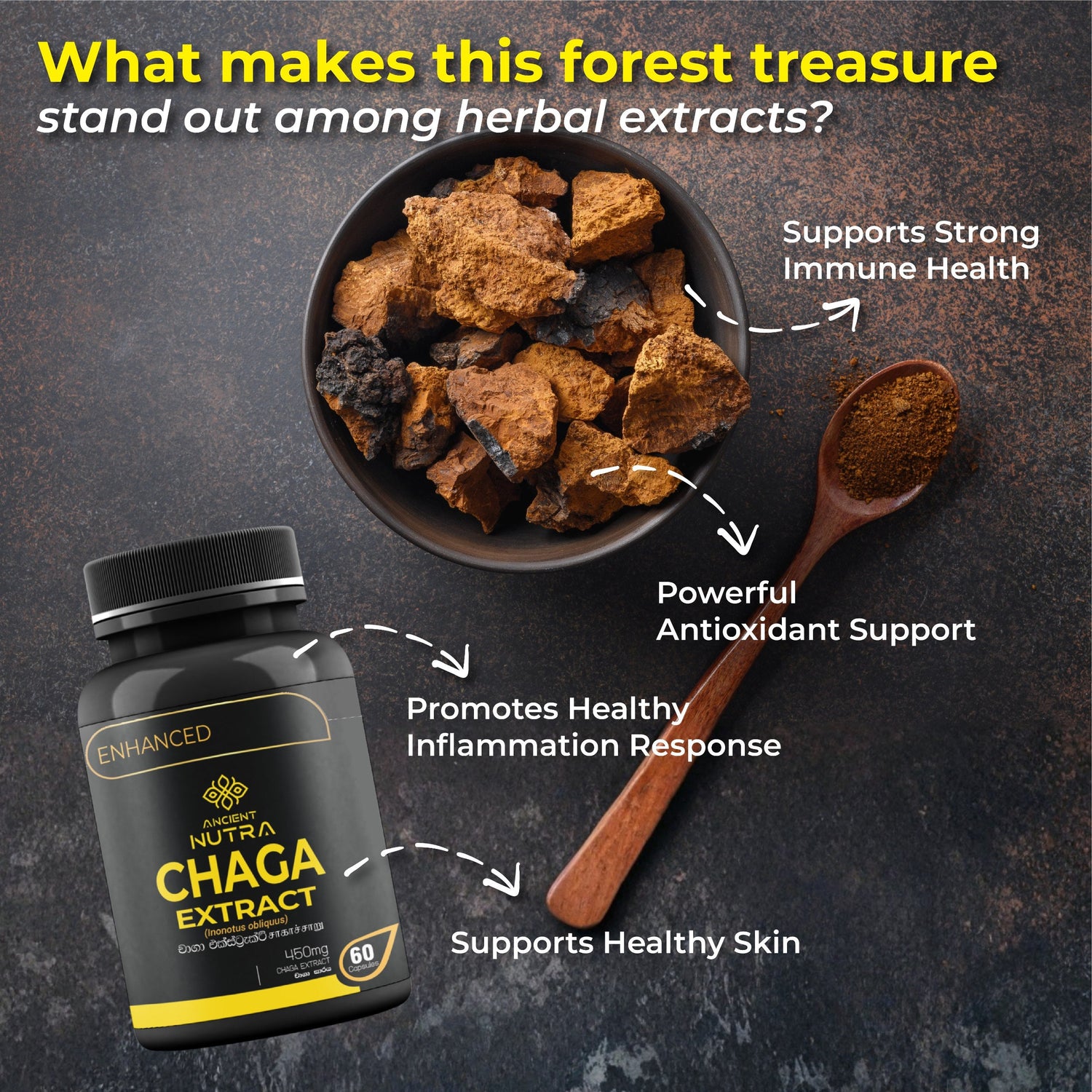 Chaga Mushroom Extract: Daily Immune & Energy Support
