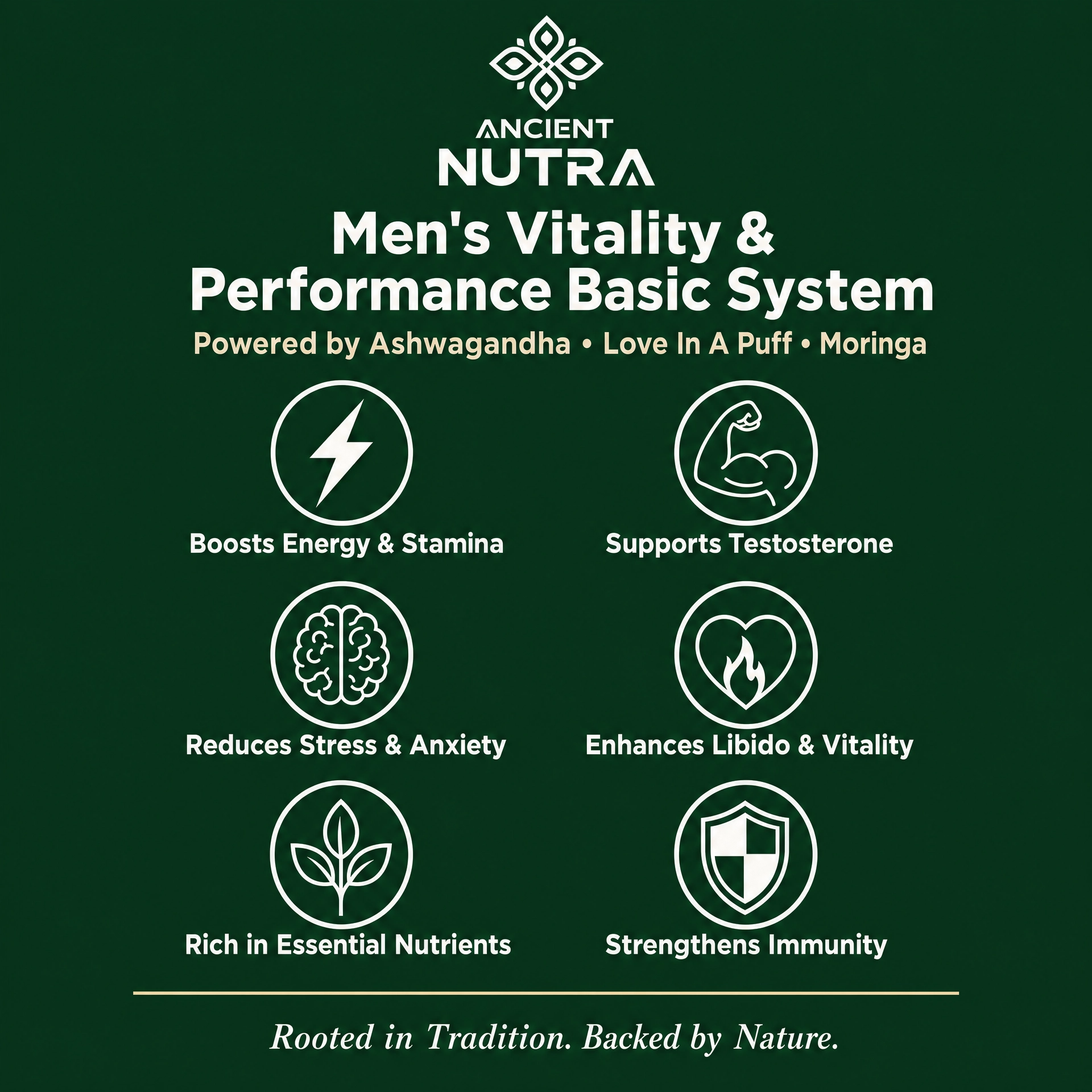 Men's fertility and performance basic system