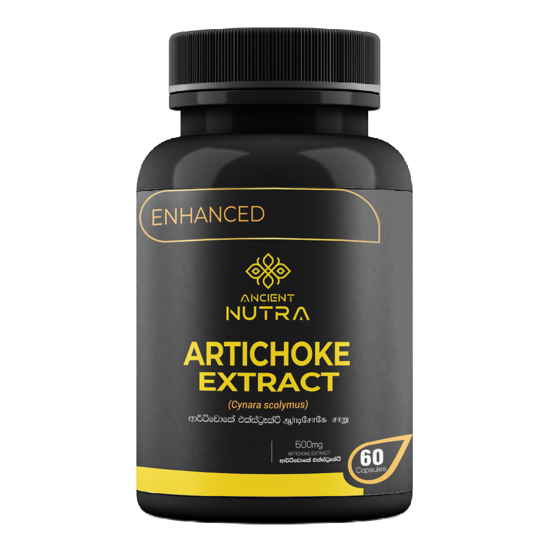 Artichoke Extract - 60 Capsule