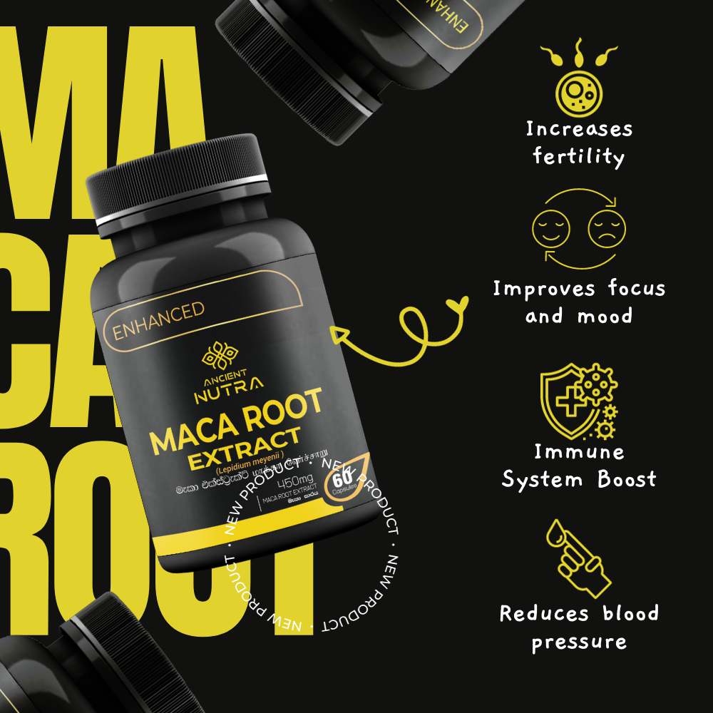 Maca Root Extract