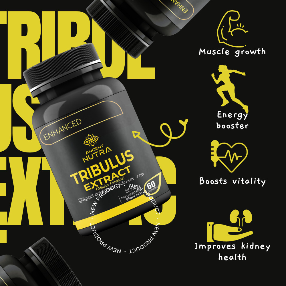 Tribulus Extract 60 Capsules