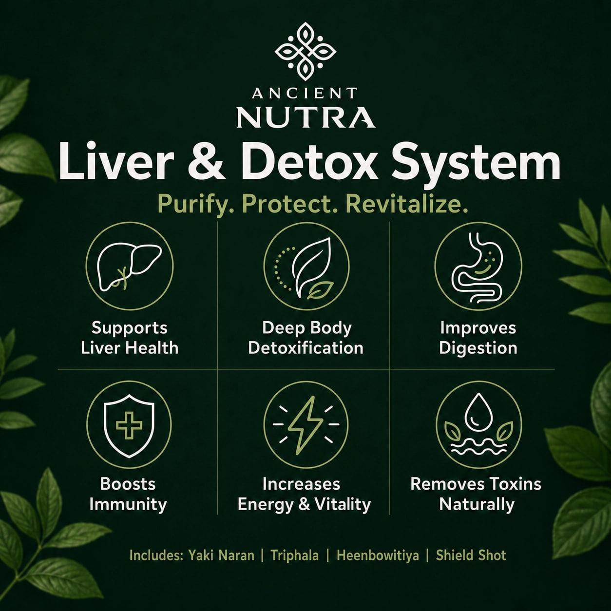Liver & Detox System