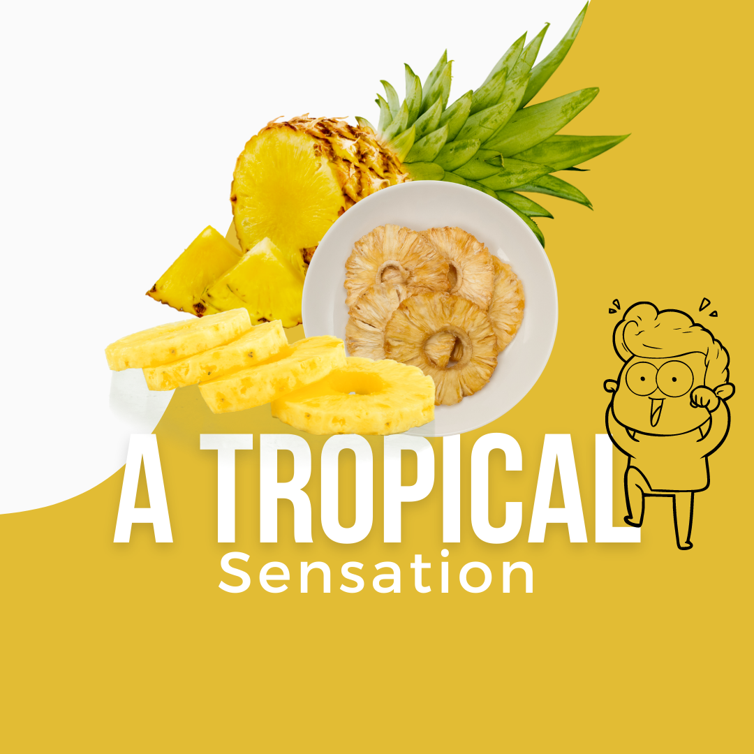 Pineapple Rings 100g (6761555820719)