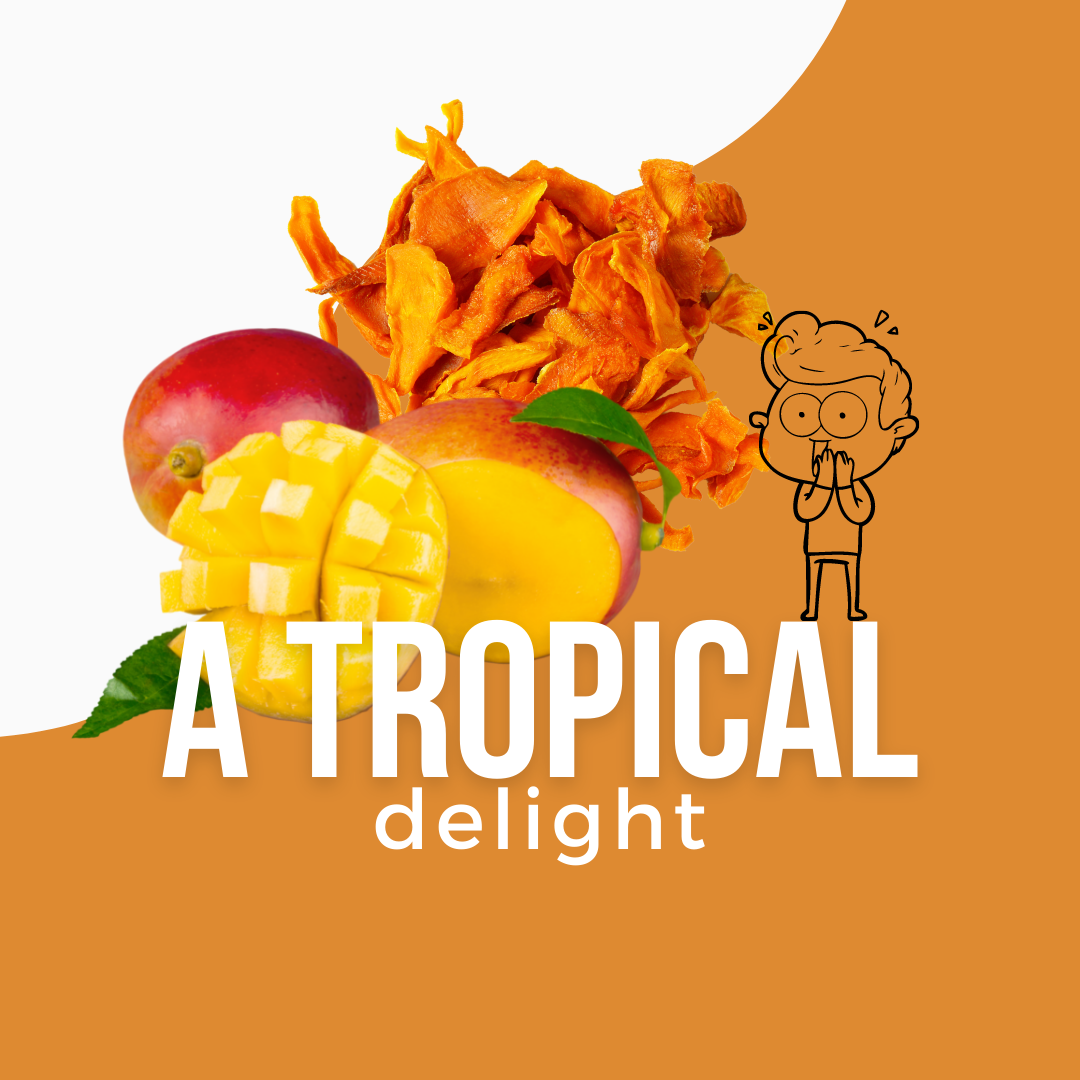 Mango Strips 100g (6761543401647)