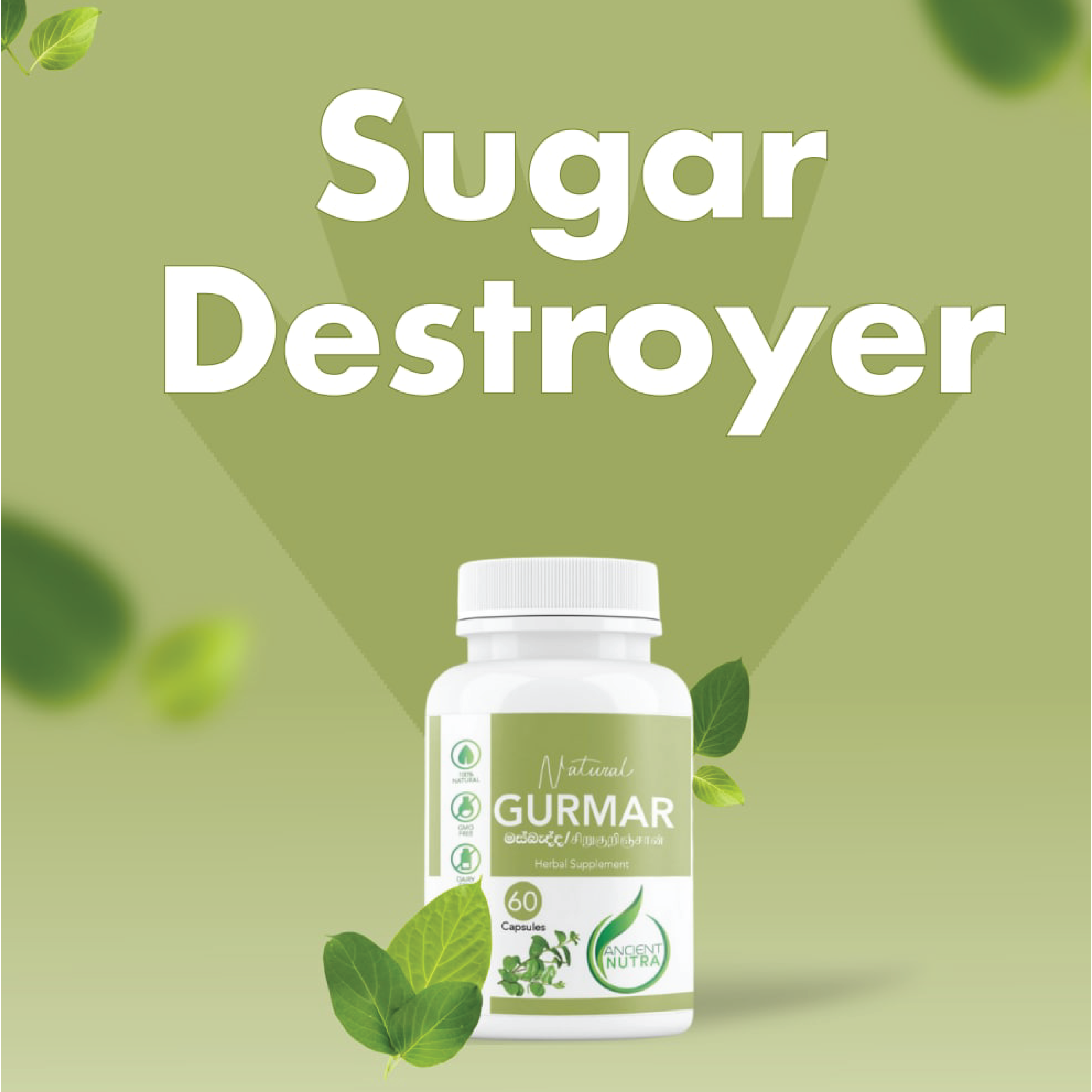 Gurmar (Masbedda) මස්බැද්ධ - 60 capsules