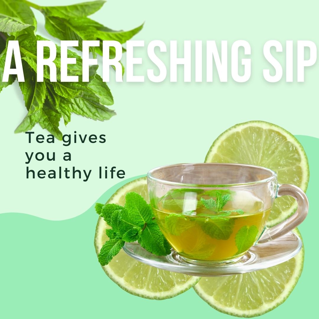 Mint Green Tea - 25 tea bags (6864853500079)