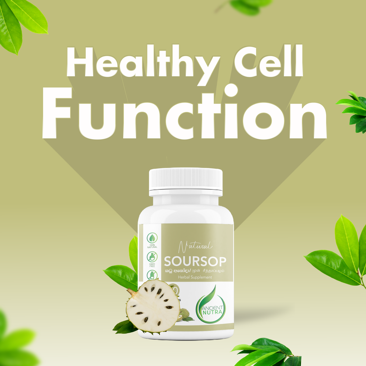 Soursop (Anoda Leaves) 60 capsules Ancient Nutra