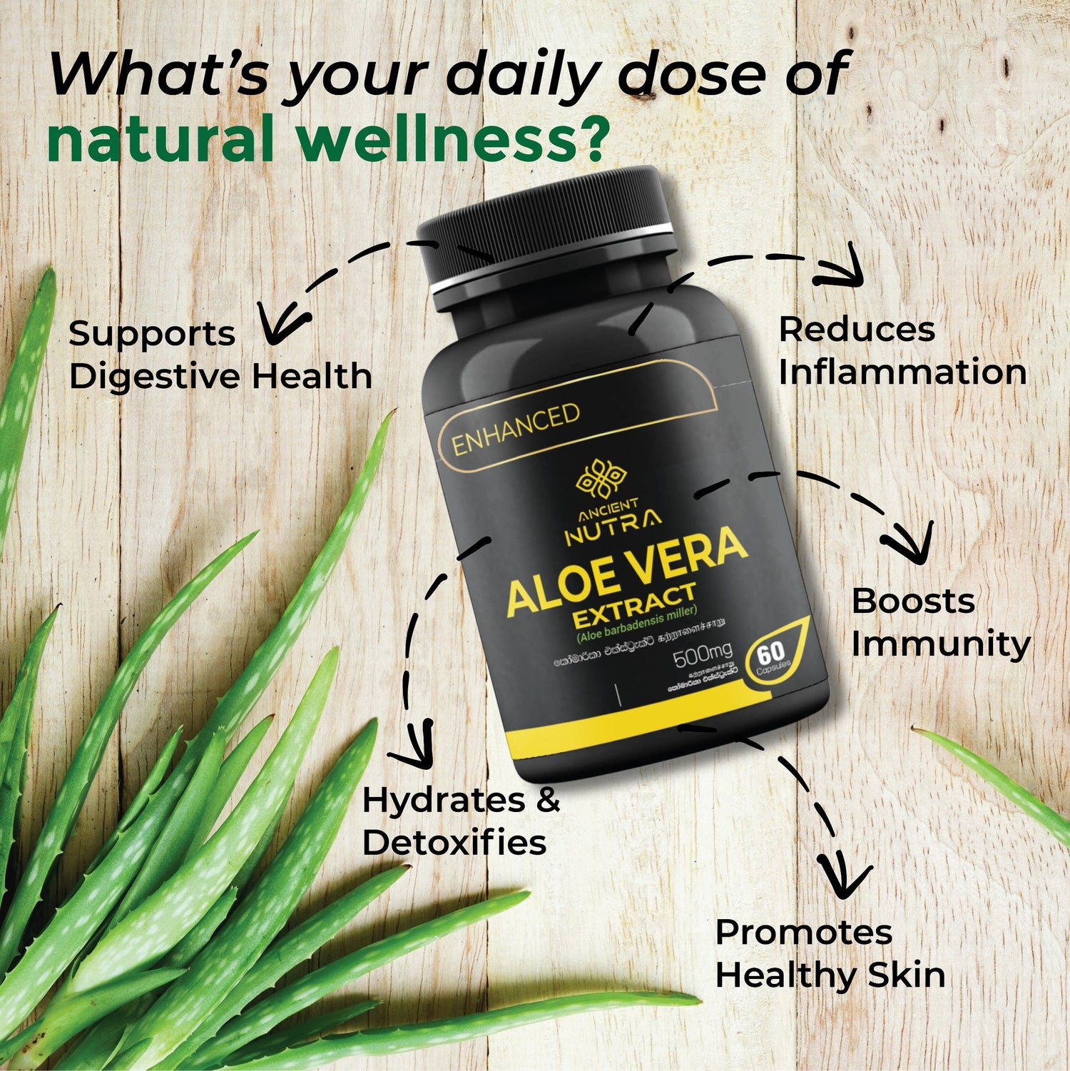 Boost Your Daily Wellness with Ancient Nutra Aloe Vera Extract