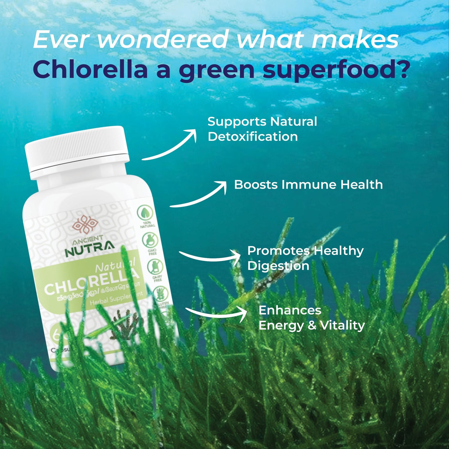 Boost Your Energy &amp; Detox with Ancient Nutra Chlorella Capsules