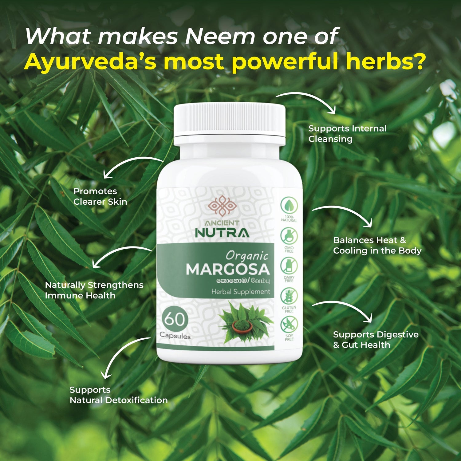 Transform Your Daily Wellness Routine with Ancient Nutra Margosa (Neem)