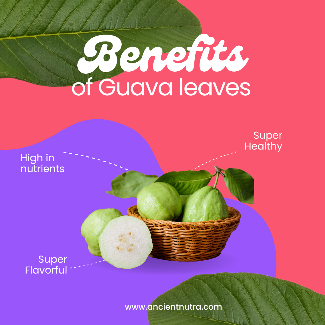 Natural Zinc Boost: The Power of Guava Leaves Capsules