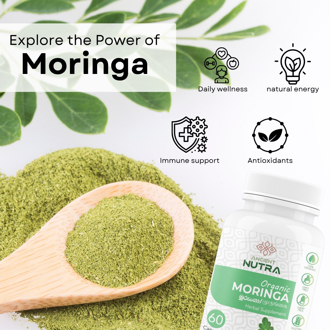 Transform Your Daily Wellness: The Complete Guide to Moringa's Life-Changing Benefits