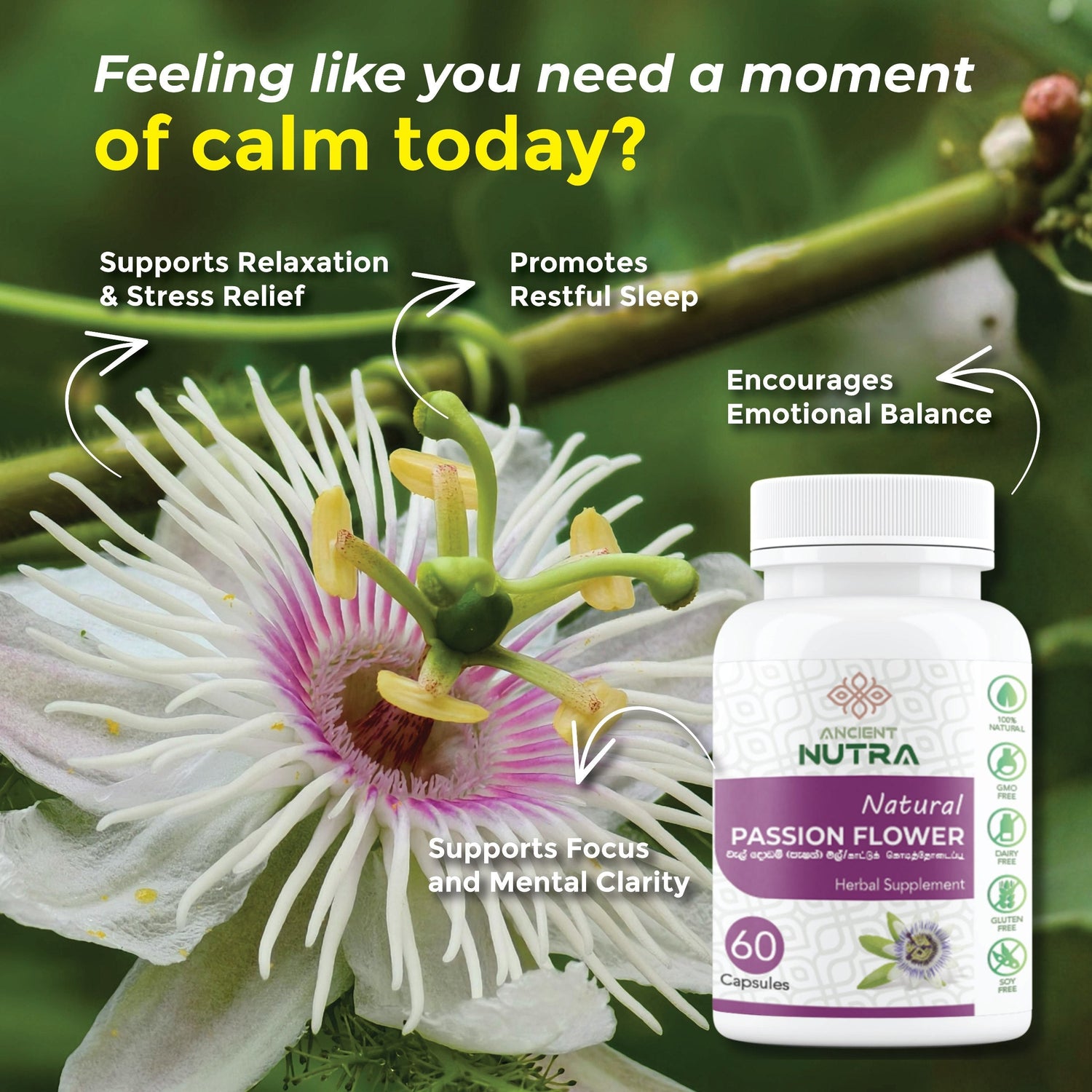 Transform Your Daily Calm with Ancient Nutra Passion Fruit Flowers Capsules