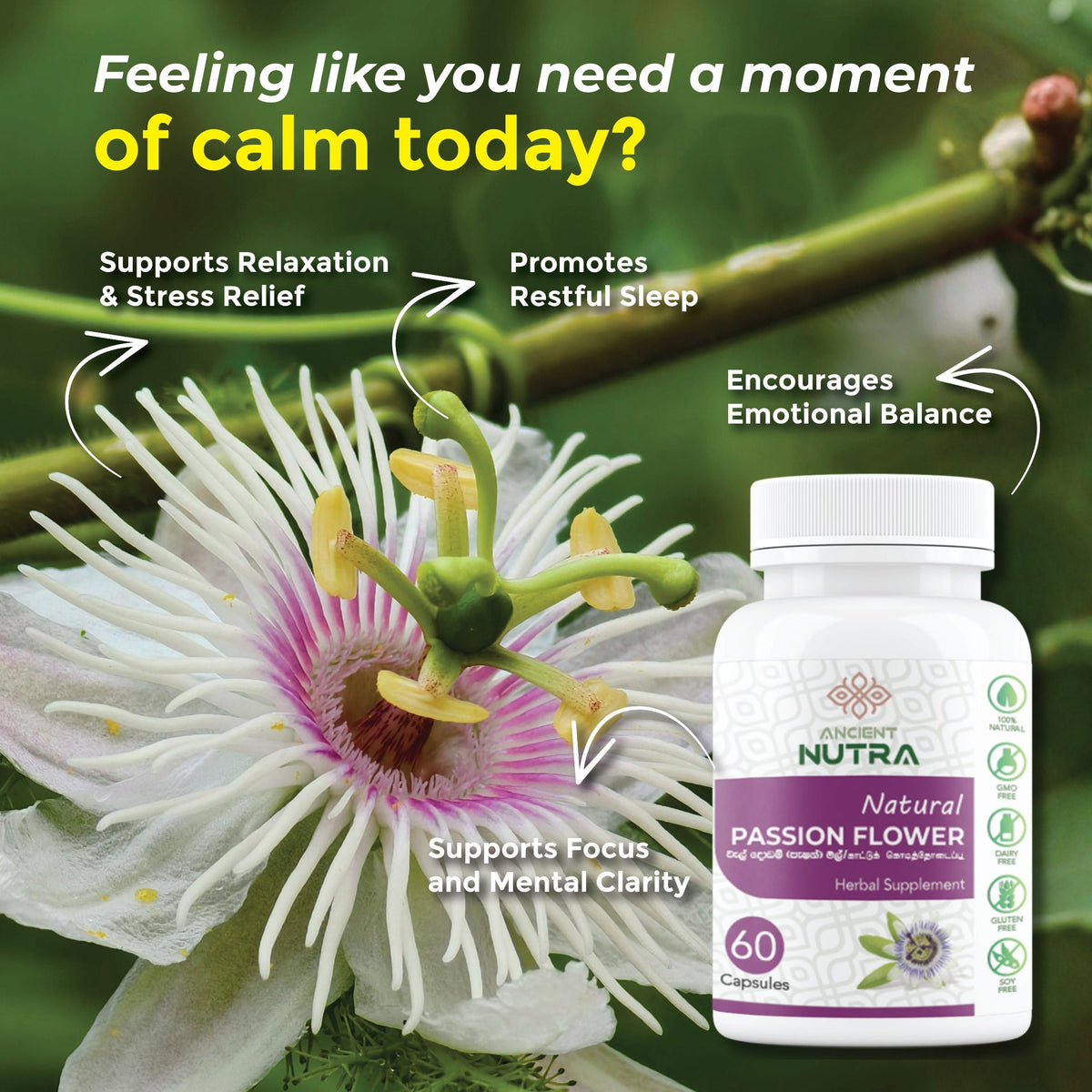 Passion Flower Capsules: Calm & Restful Sleep