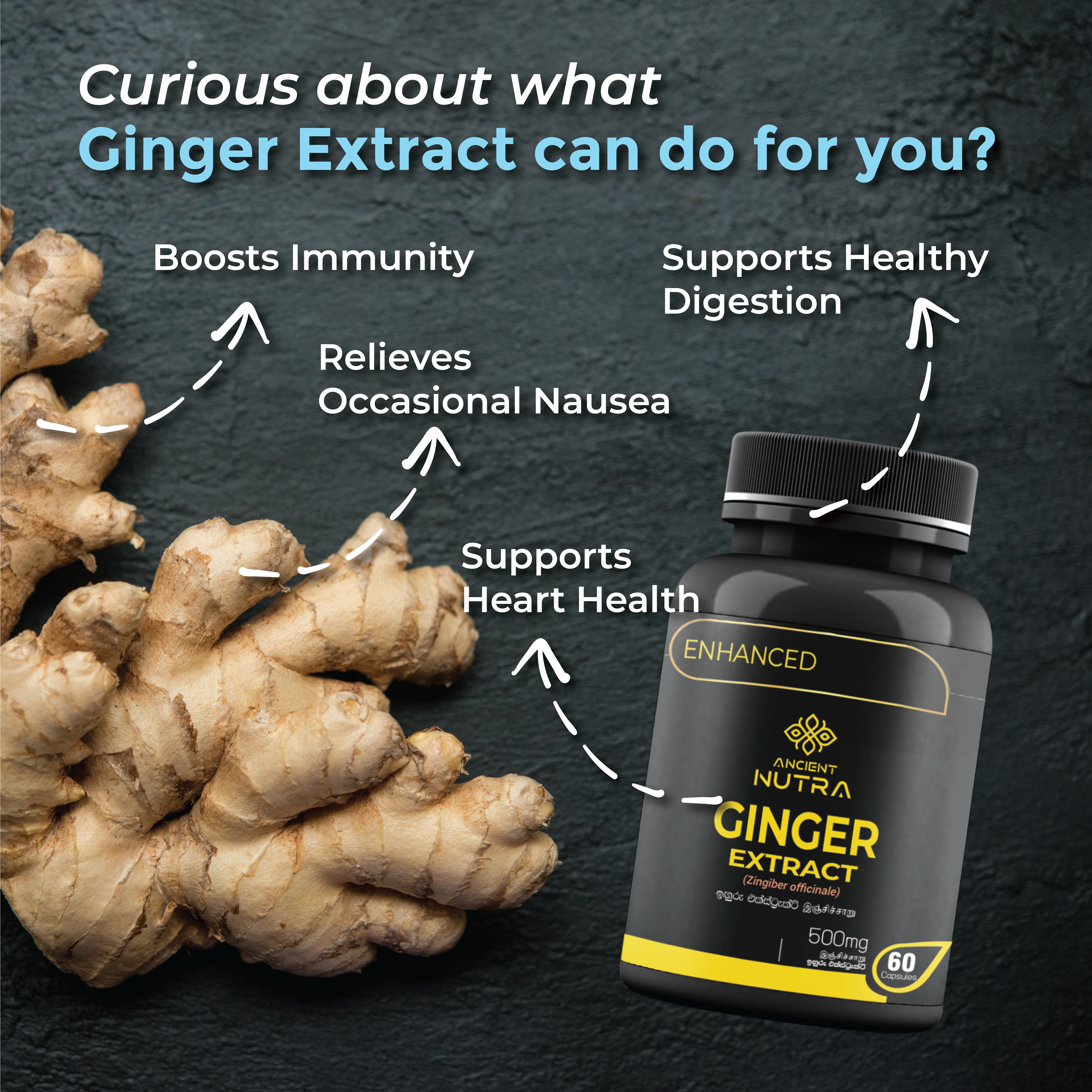 Sharpen Your Digestion and Boost Wellness with Ancient Nutra Ginger Extract