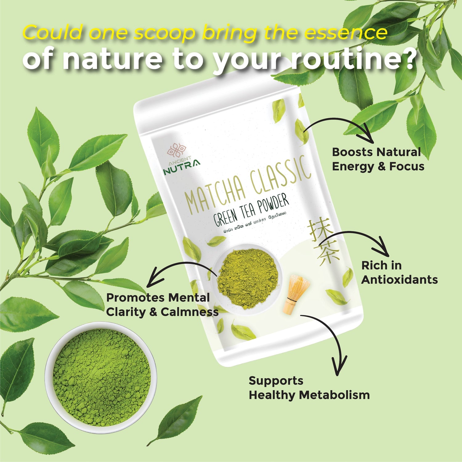 Transform Your Energy &amp; Focus with Ancient Nutra Organic Matcha Powder