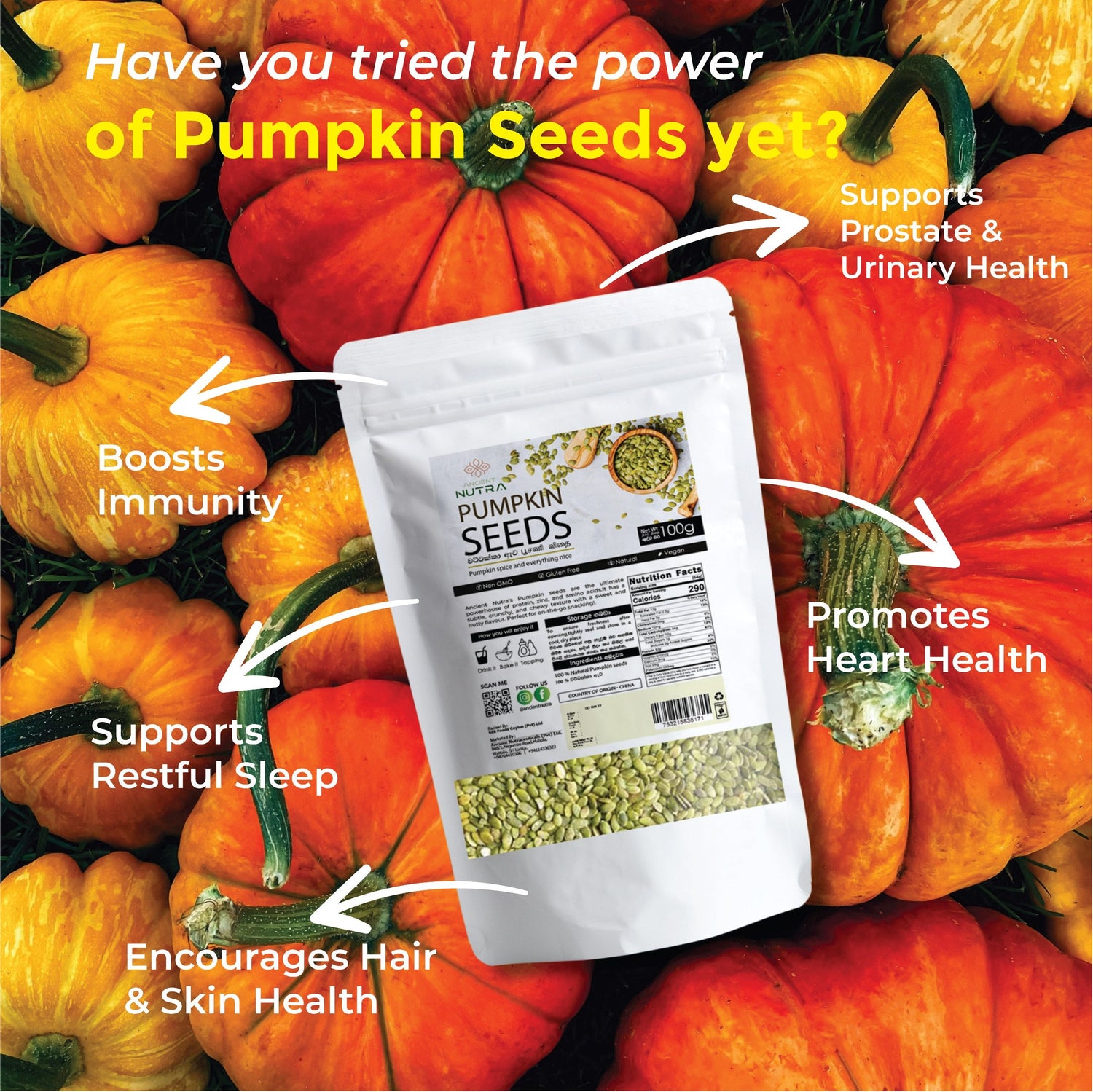The Ultimate Guide to Pumpkin Seeds : Ancient Nutra’s 100g Pack Should Be Your Daily Wellness Companion