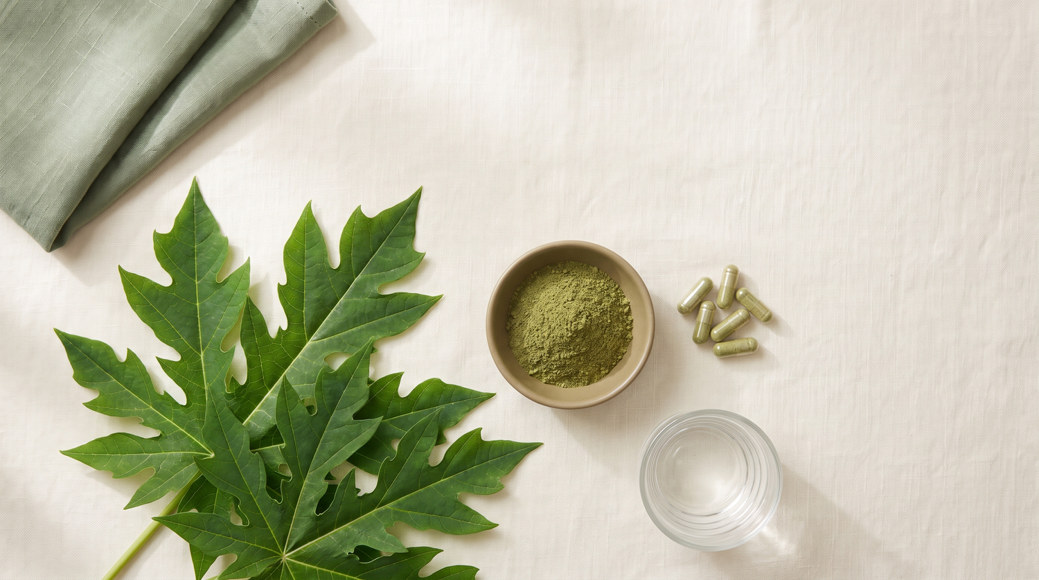 Fresh green papaya leaf beside a dish of green papaya-leaf powder, herbal capsules and a glass of water on cream linen