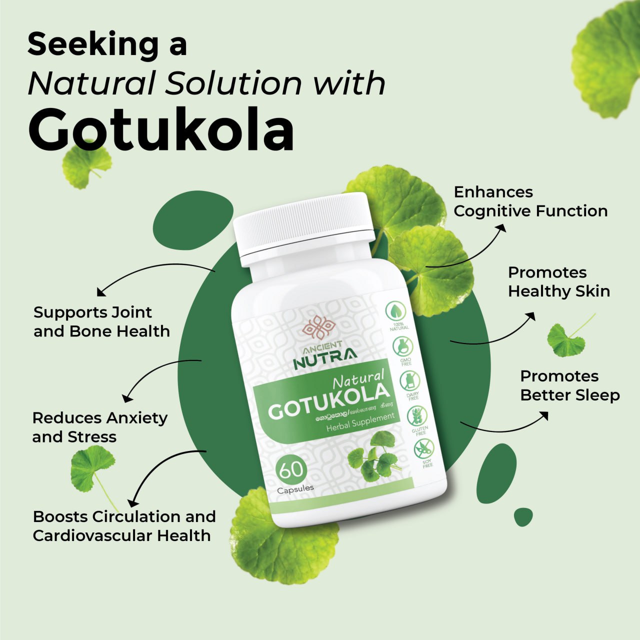 Seeking a Natural Solution with Gotukola