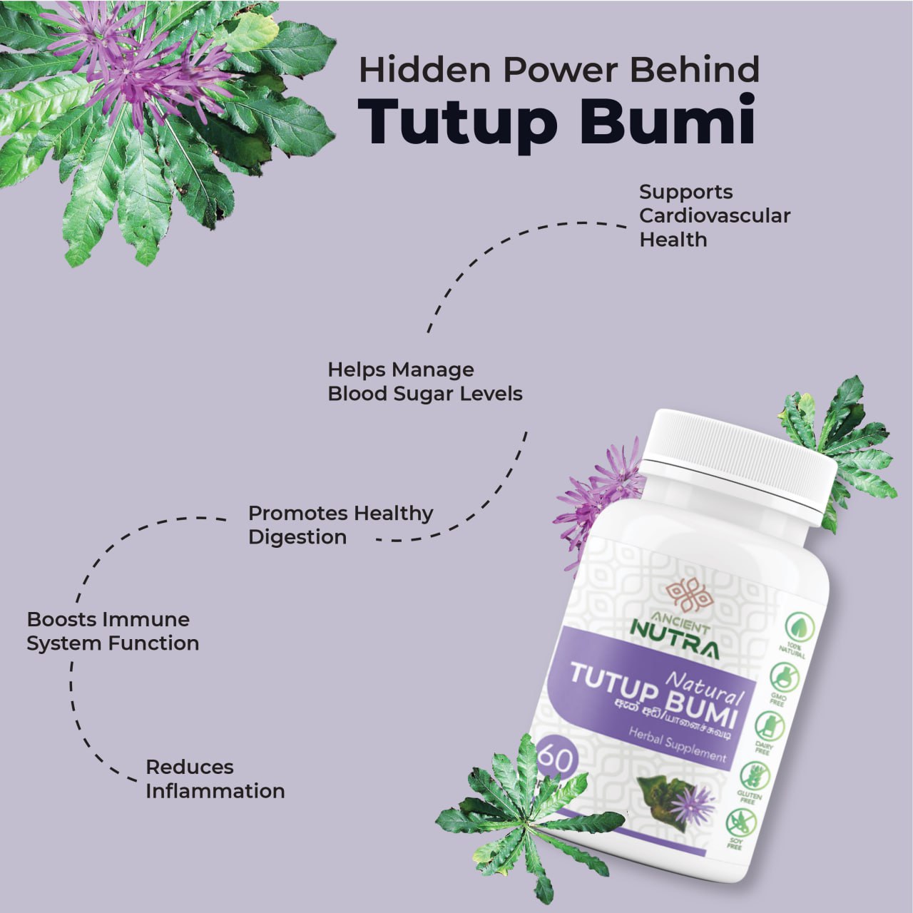 Hidden Power behind Tutup Bumi