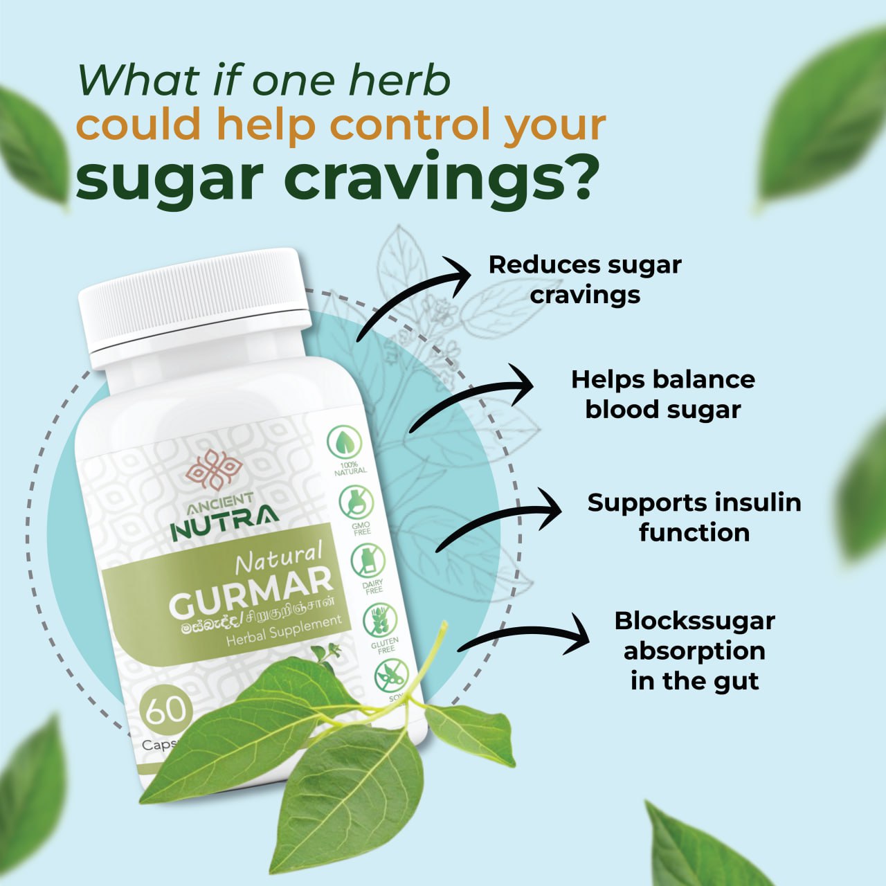 🌿 Gurmar (Gymnema Sylvestre): A Natural Breakthrough for Diabetes Management in Sri Lanka