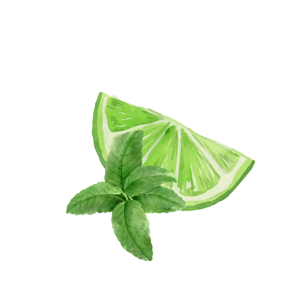 Lime & Mint